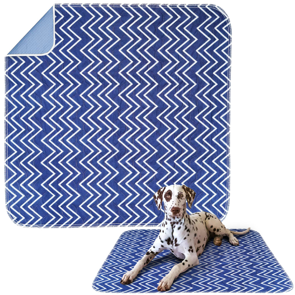 Blue Waves Puppy Pad - Dry Paws