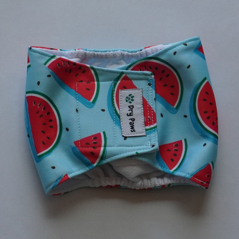 Watermelon Male Doggy Diaper (2 Pack) - Dry Paws